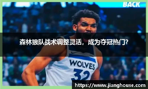 森林狼队战术调整灵活，成为夺冠热门？