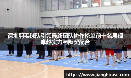 深圳羽毛球队引领最新团队协作榜单前十名展现卓越实力与默契配合